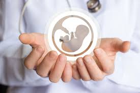 High-Risk Pregnancy Monitoring GSH