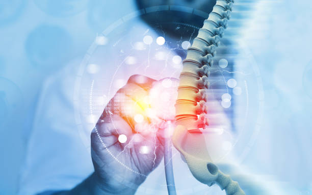 Orthopaedic Surgical Specialist Team