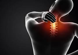 Spine Care and Back Pain Specialist Team