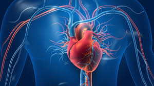 Coronary Artery Disease Care GSH