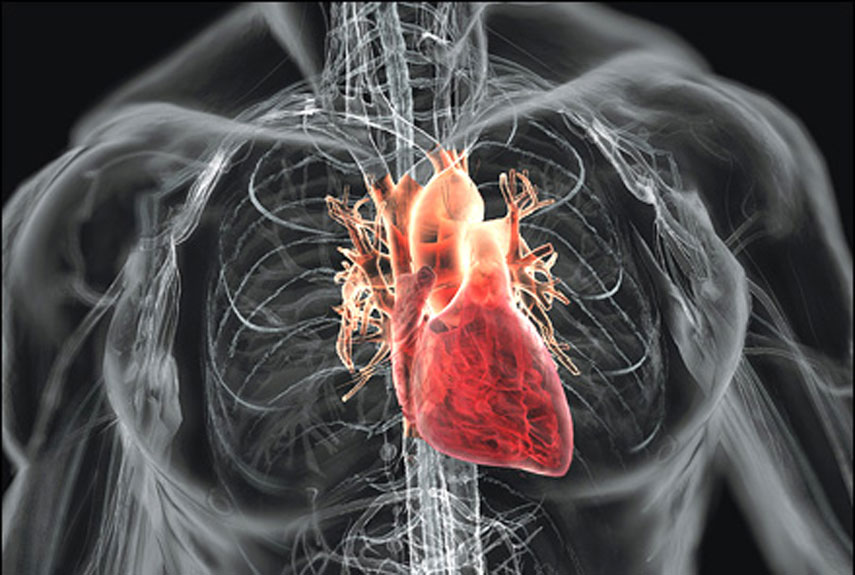 Critical Care Monitoring