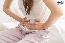 Advanced Ovarian Ultrasound Mapping