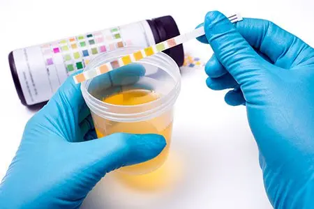 Expert Clinical Pathology Medical Laboratory Team